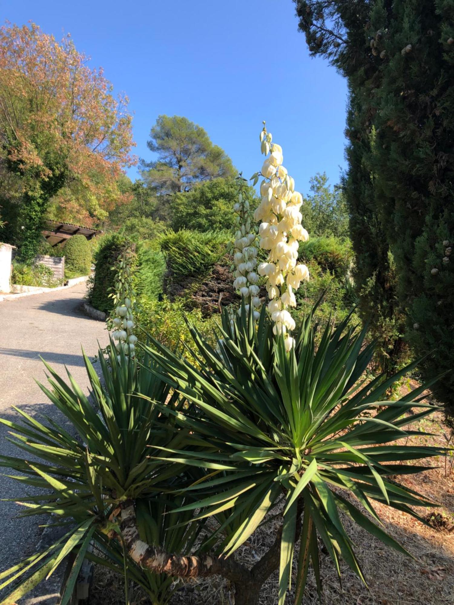 Domaine Double D Cagnes-sur-Mer Exterior foto